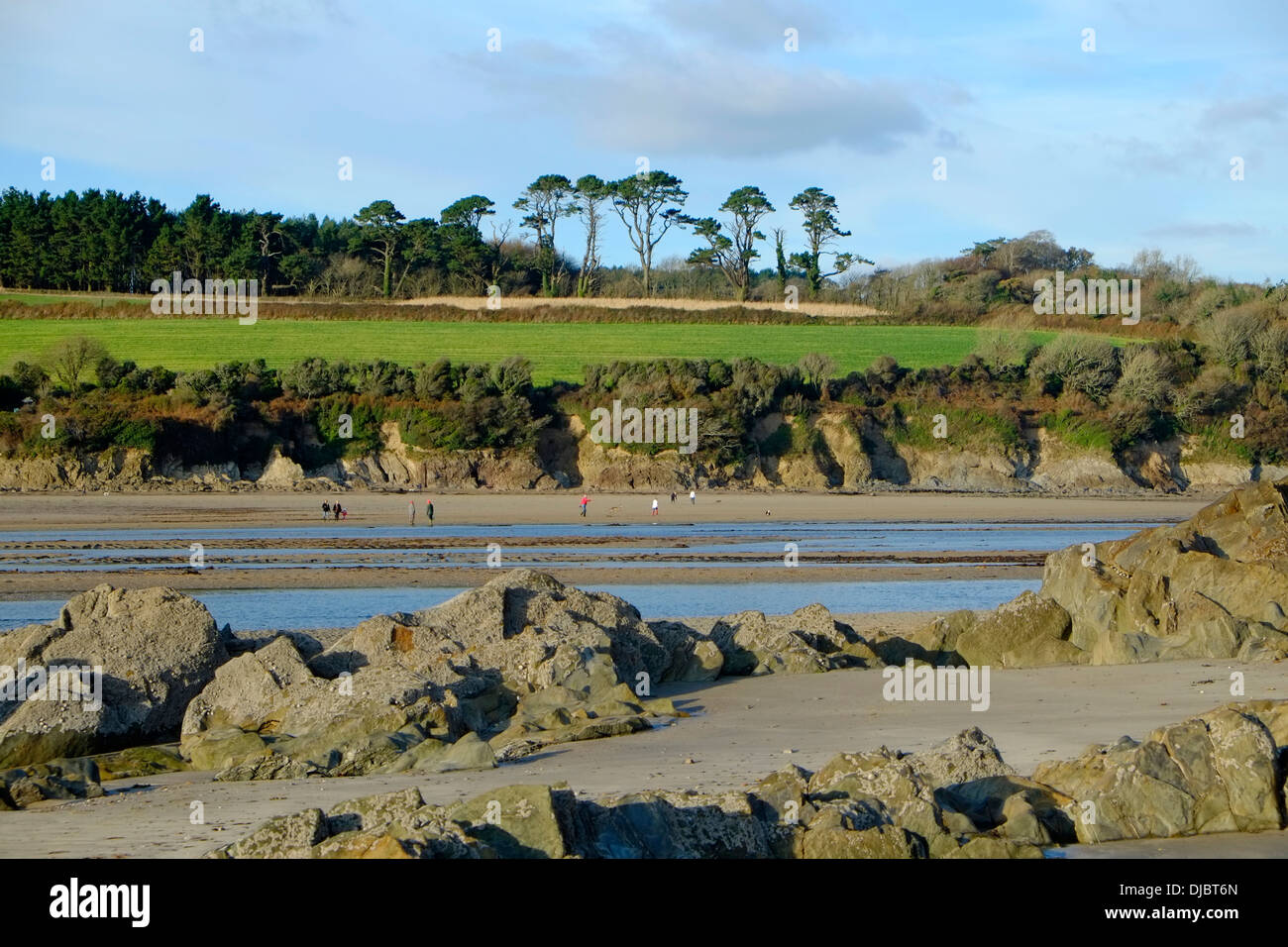 Marée basse à la plage de Wonwell sur l'estuaire de l'Erme, South Hams, Devon. ROYAUME-UNI Banque D'Images