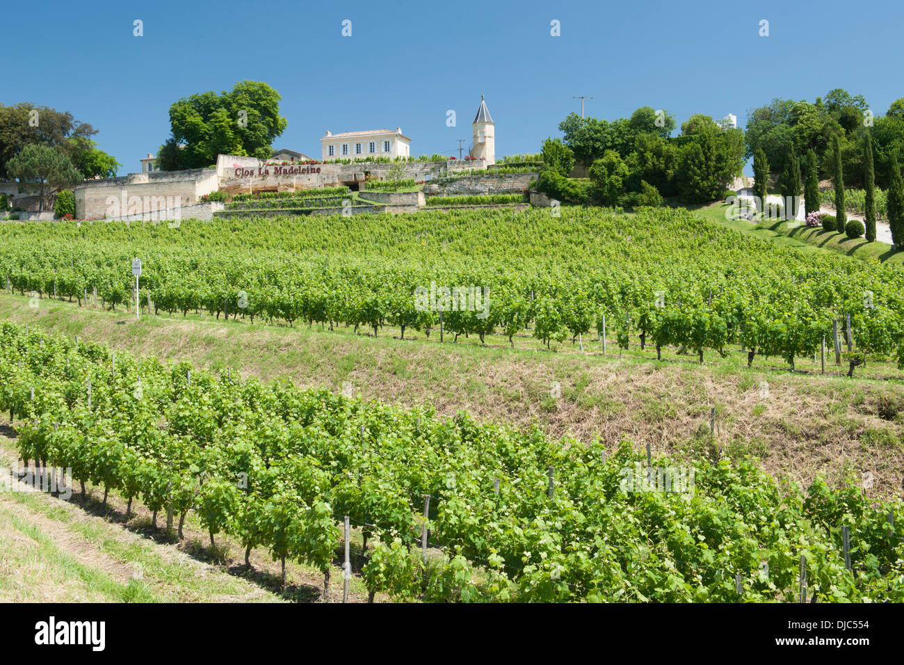 Clos La Madeleine Winery and Vineyards à Saint-Émilion dans le département de la Gironde en Aquitaine, France. Banque D'Images