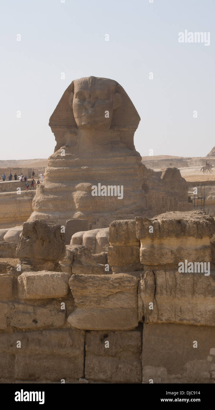 Le grand Sphinx de Gizeh, Egypte. Banque D'Images