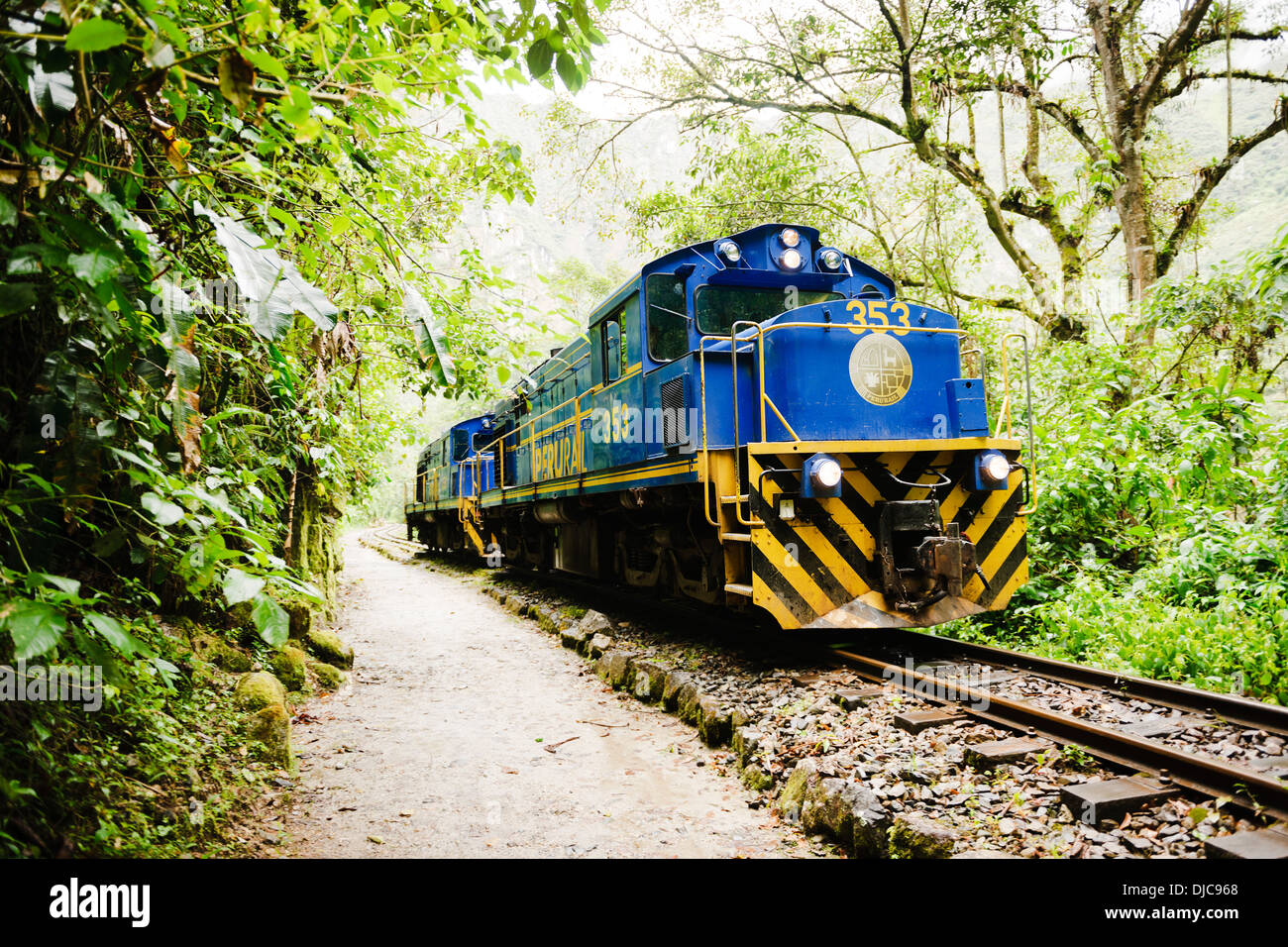 Le long de la trainline jusqu'à Aguas Caliente - paysages le long de la route de la randonnée de Salkantay dans la région de Cuzco au Pérou. Banque D'Images