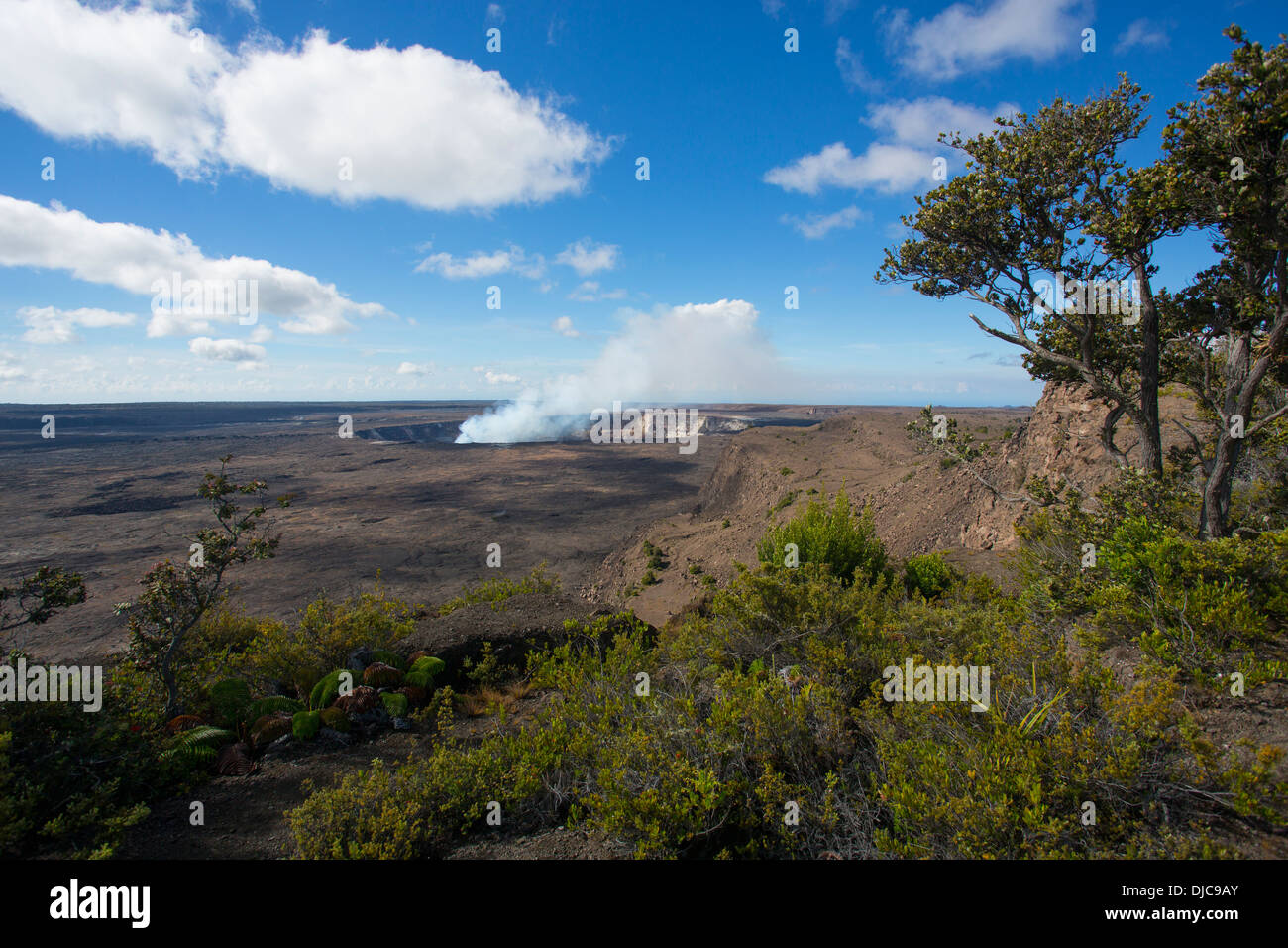 Cratère Halemaumau, Kilauea Volcano, HVNP, Big Island d'Hawaii Banque D'Images