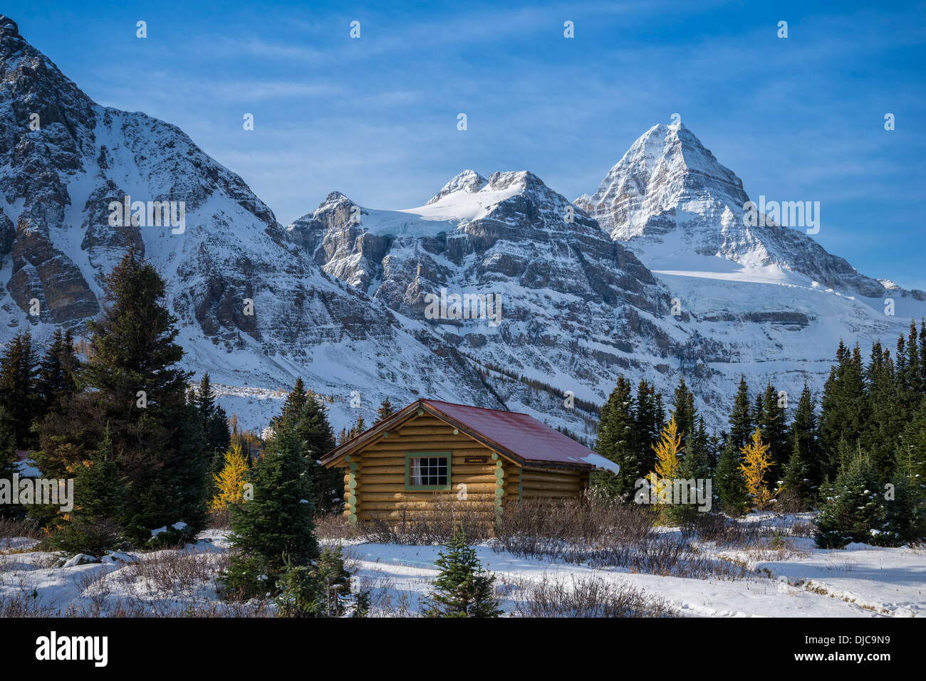 Mt Assiniboine Provincial Park Banque De Photographies Et D images mt-assiniboine-provincial-park-banque-de-photographies-et-d-images