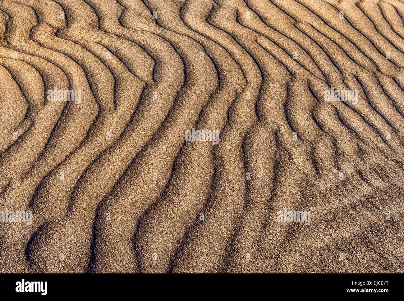 Des vagues de sable doré image de fond pour les concepteurs graphiques et numériques Banque D'Images