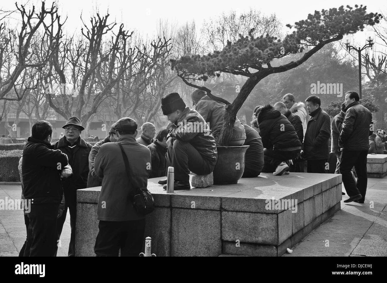 Les personnes âgées se rassemblent dans le parc Fuxing, Shanghai, Chine Banque D'Images