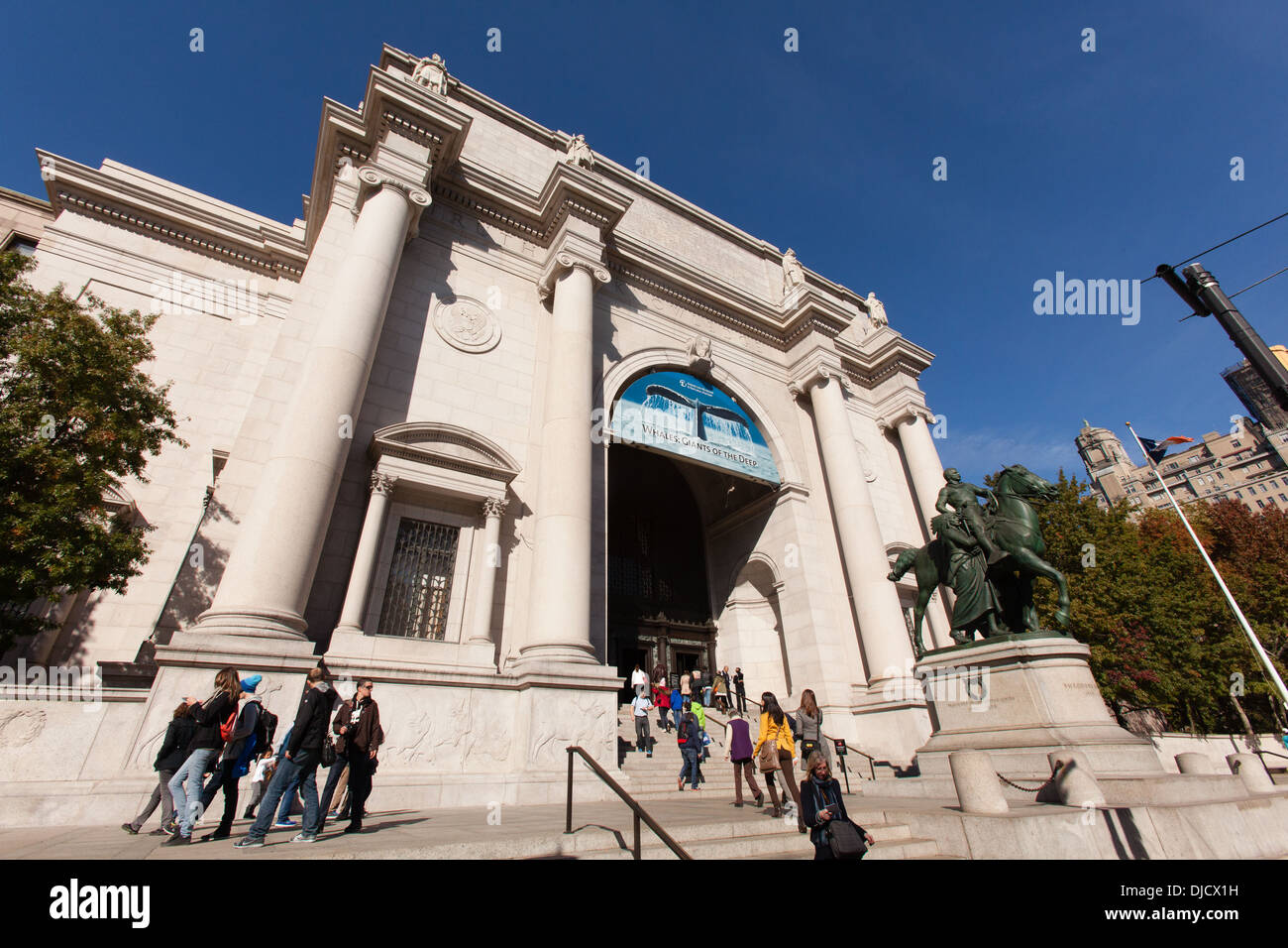 American Museum of Natural History, New York City, États-Unis d'Amérique. Banque D'Images