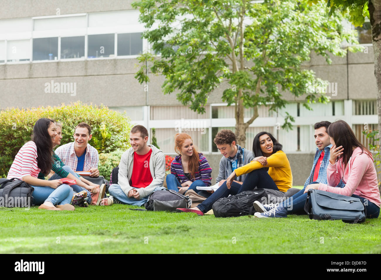 Groupe d'étudiants à discuter sur l'herbe sur le campus Banque D'Images