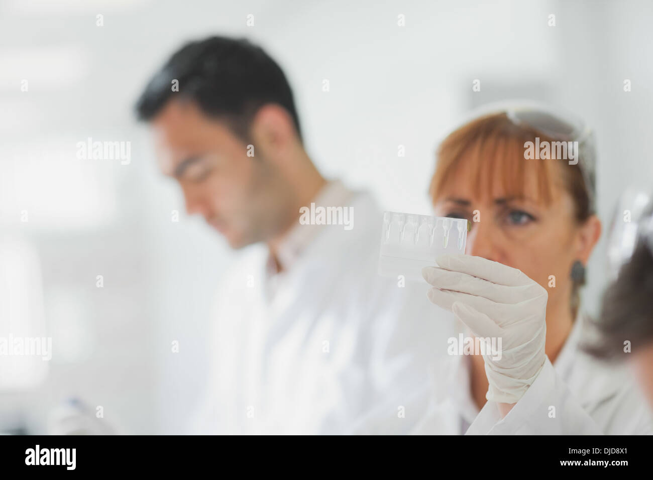 Équipe de scientifiques au travail Banque D'Images