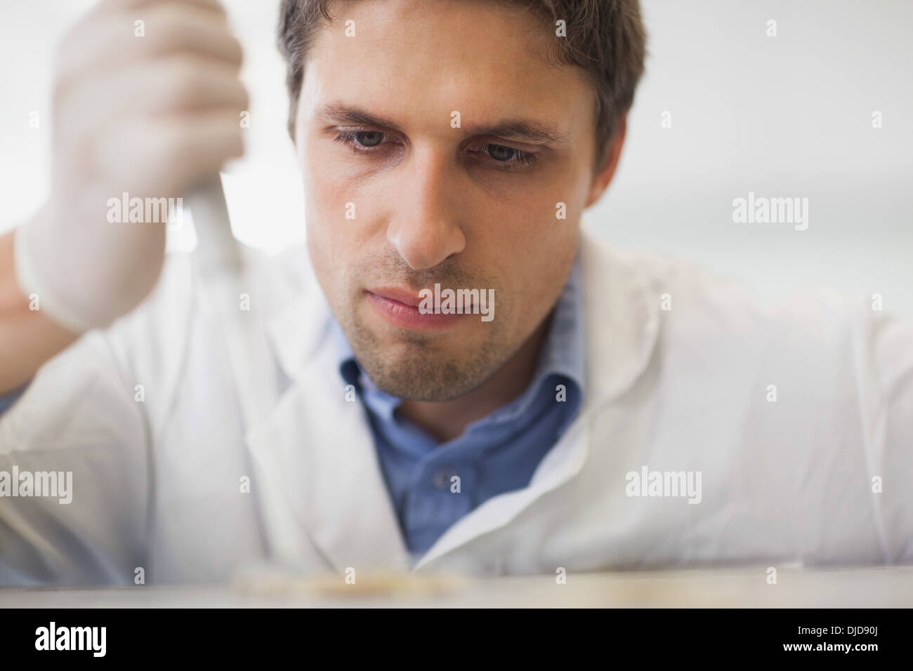 Jeune scientifique à l'aide d'une pipette avec soin Banque D'Images