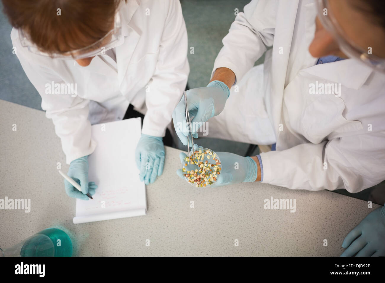 Portrait de deux scientifiques travaillant ensemble Banque D'Images