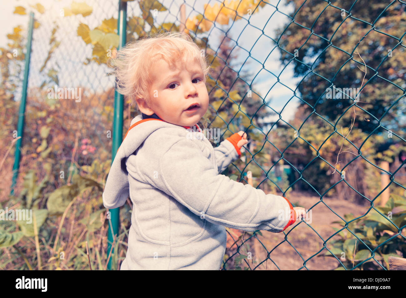Allemagne, Bonn, Baby Boy explorer jardin Banque D'Images