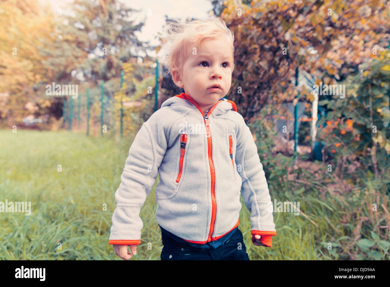 Allemagne, Bonn, Baby Boy explorer jardin Banque D'Images