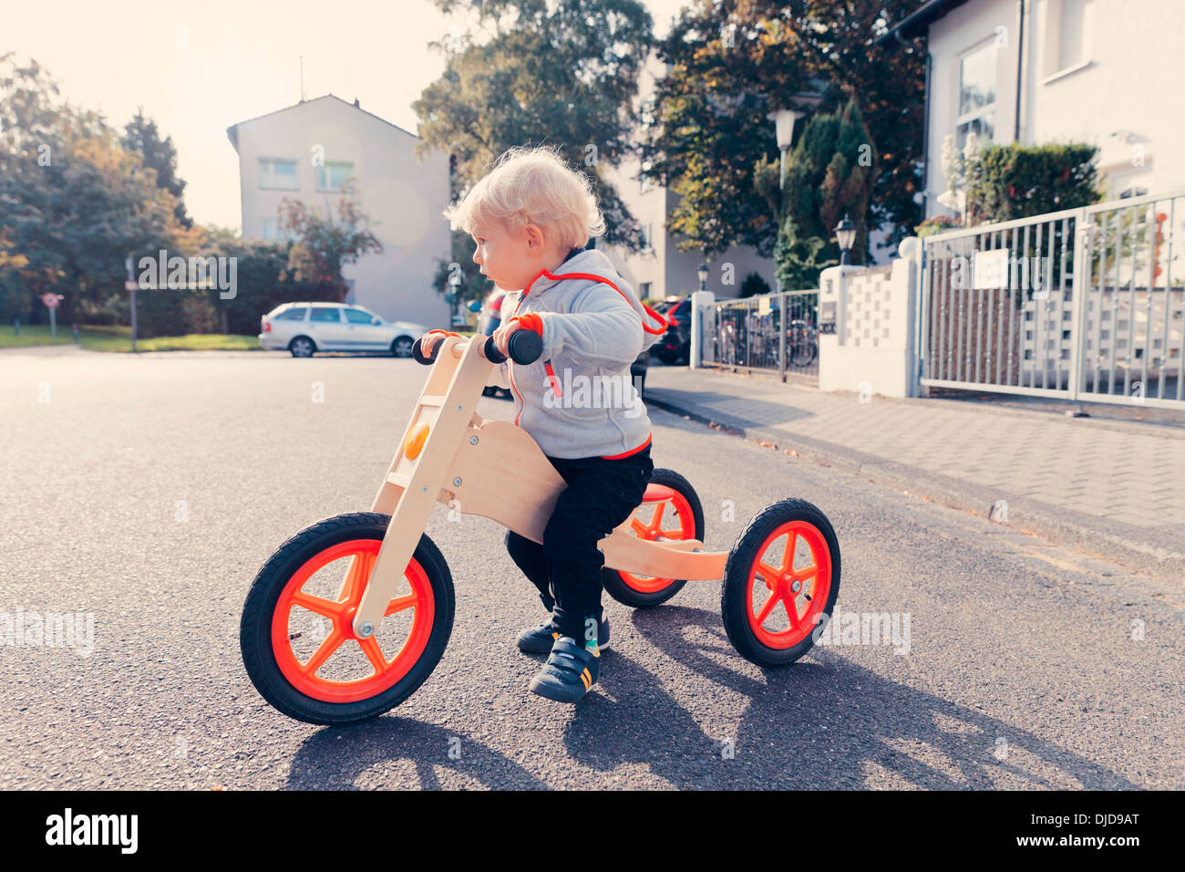 Allemagne, Bonn, petit garçon avec tricycle en bois Banque D'Images