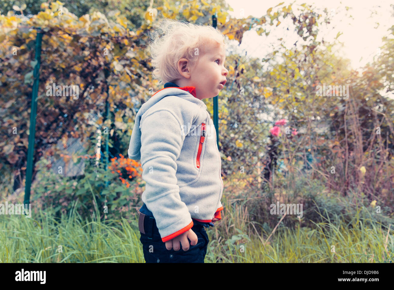 Allemagne, Bonn, Baby Boy explorer jardin Banque D'Images