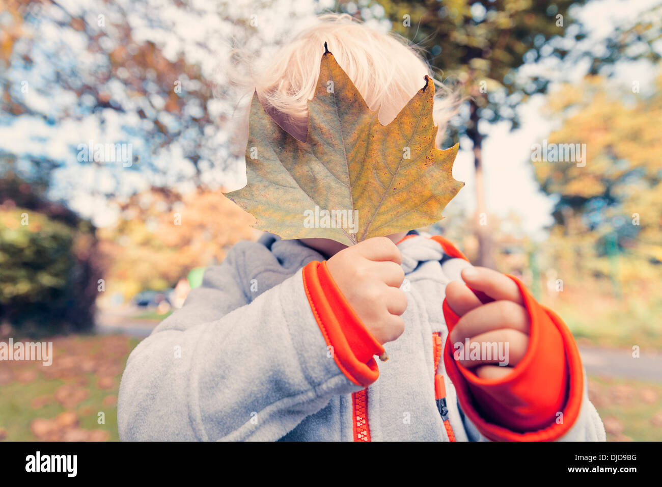 Allemagne, Bonn, Baby Boy covering face avec des feuilles d'automne je Banque D'Images