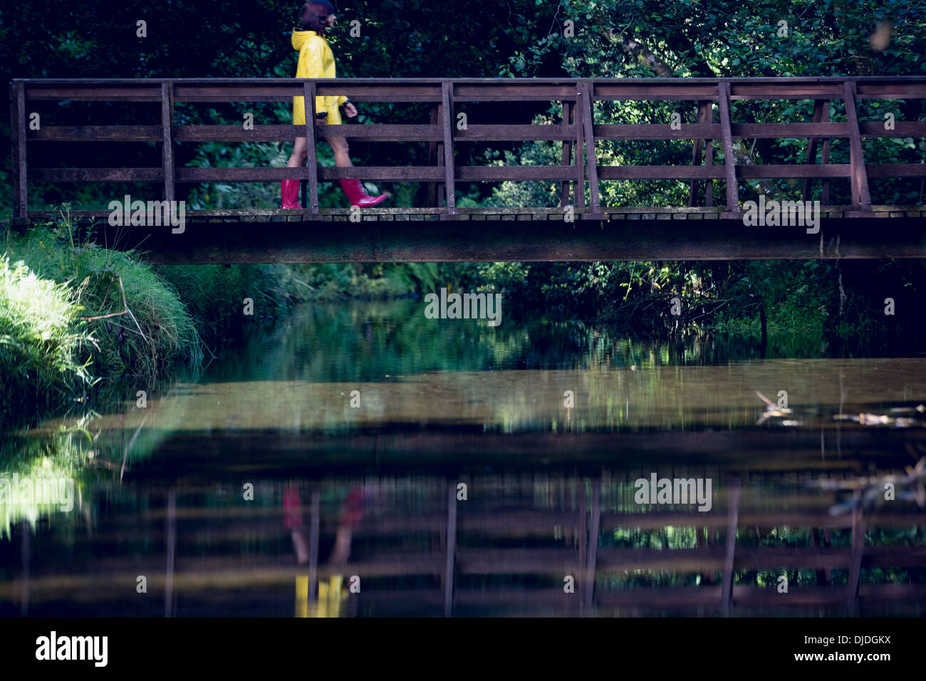 Femme sur passerelle au-dessus de la cascade de la forêt au milieu de feuillage Banque D'Images