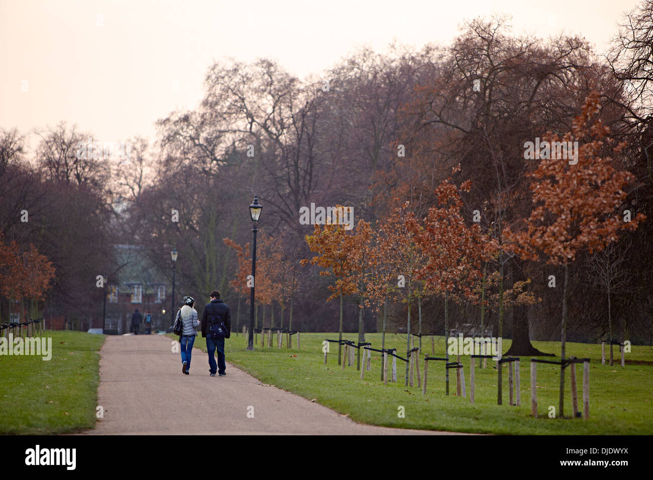 Hyde Park, Londres, Angleterre, Royaume-Uni, l'hiver. Banque D'Images