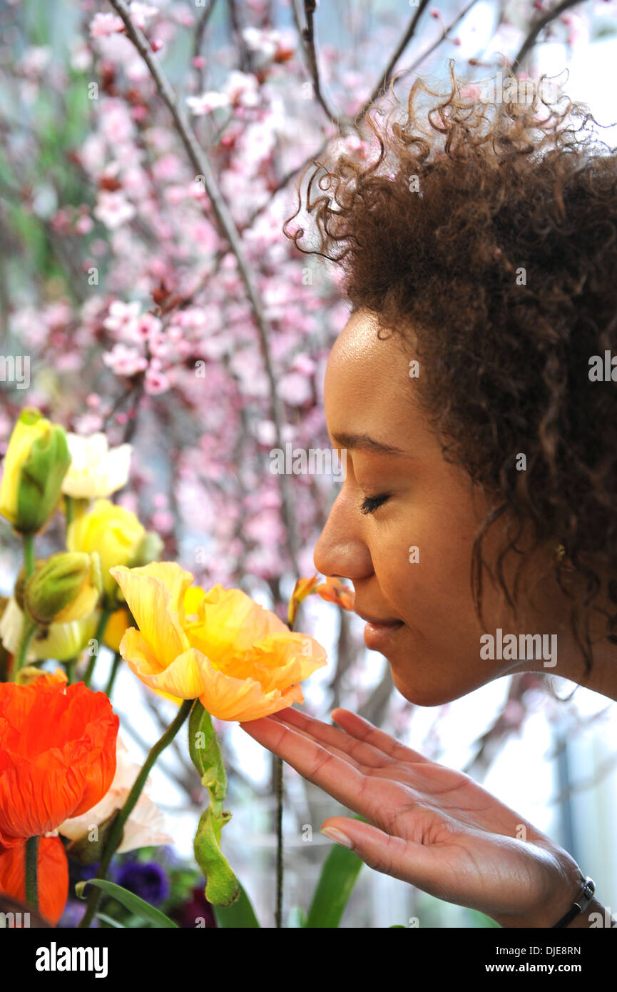 Le consumérisme : Woman smelling fleurs fraîches. Banque D'Images