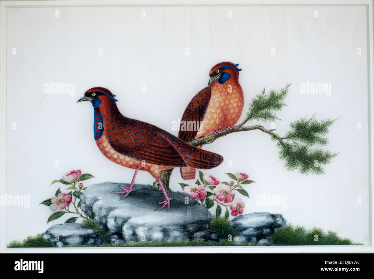 Moelle chinois du 19e siècle Peinture Banque D'Images