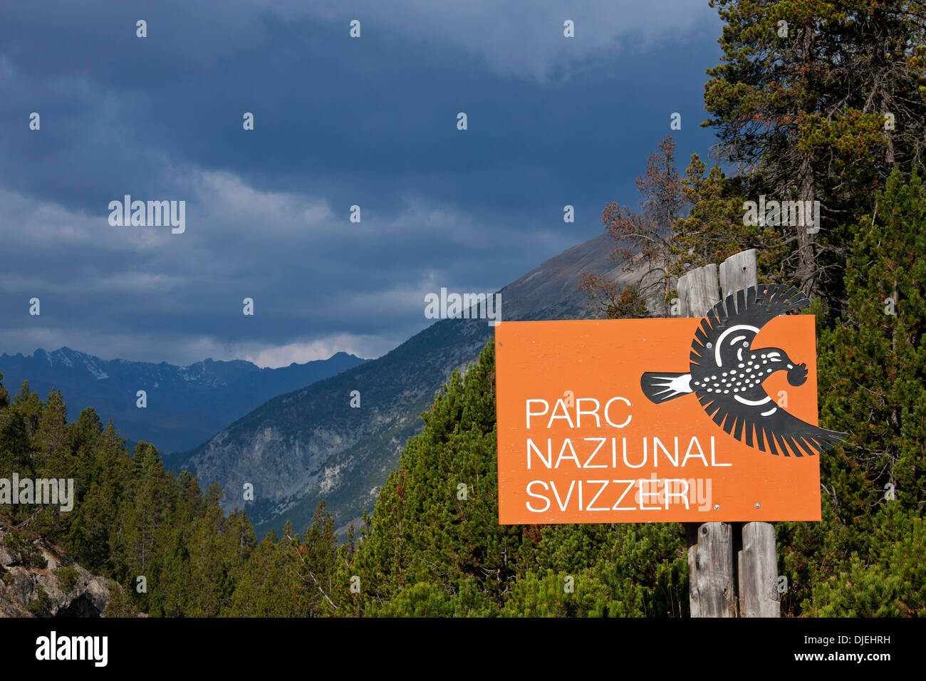 Logo montrant signe avec Casse-noisette du Parc National Suisse à Graubünden / Grisons dans les Alpes, Suisse Banque D'Images