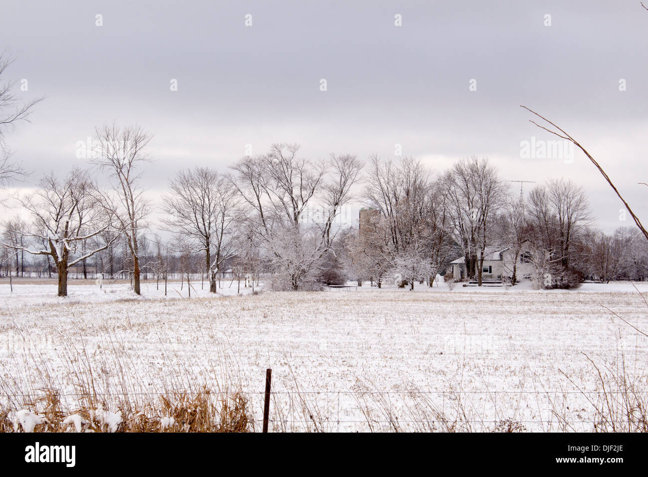 Ferme en début de l'hiver avec la neige sur le terrain et sur les arbres. Banque D'Images