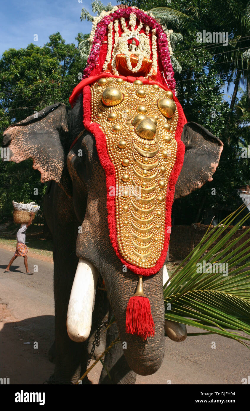 Temple de cérémonie indienne richement décorées avec des éléphants d'or avec caparaçon ayant déjeuner feuille de palmier, Varkala, Kerala, Inde Banque D'Images