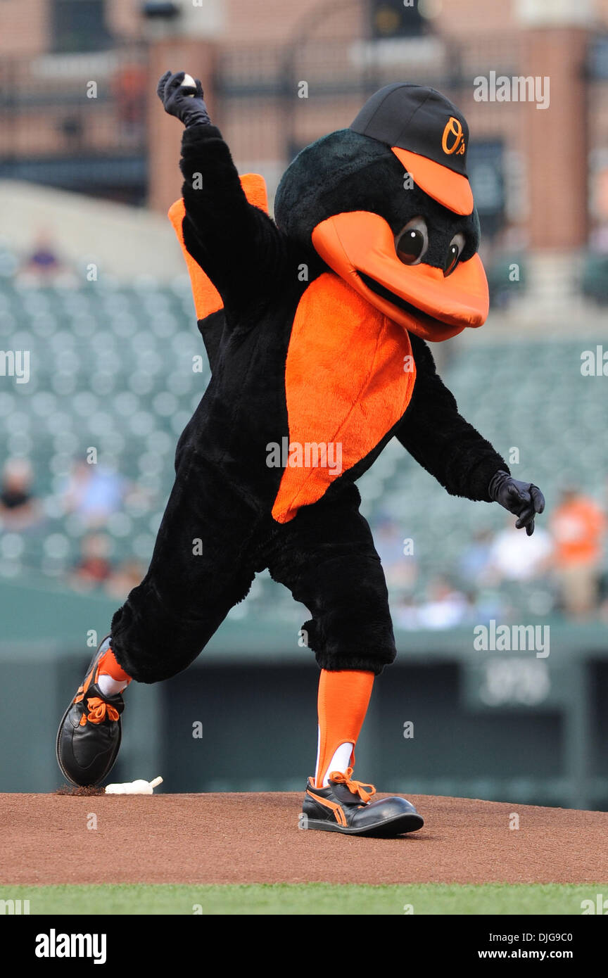 16 Juillet 2010 : La mascotte des orioles de Baltimore, avant un match de la série contre les Blue Jays de Toronto à l'Oriole Park at Camden Yards de Baltimore, MD..Crédit obligatoire : Russell Tracy / Southcreek Global. (Crédit Image : © Russell Tracy/global/ZUMApress.com) Southcreek Banque D'Images