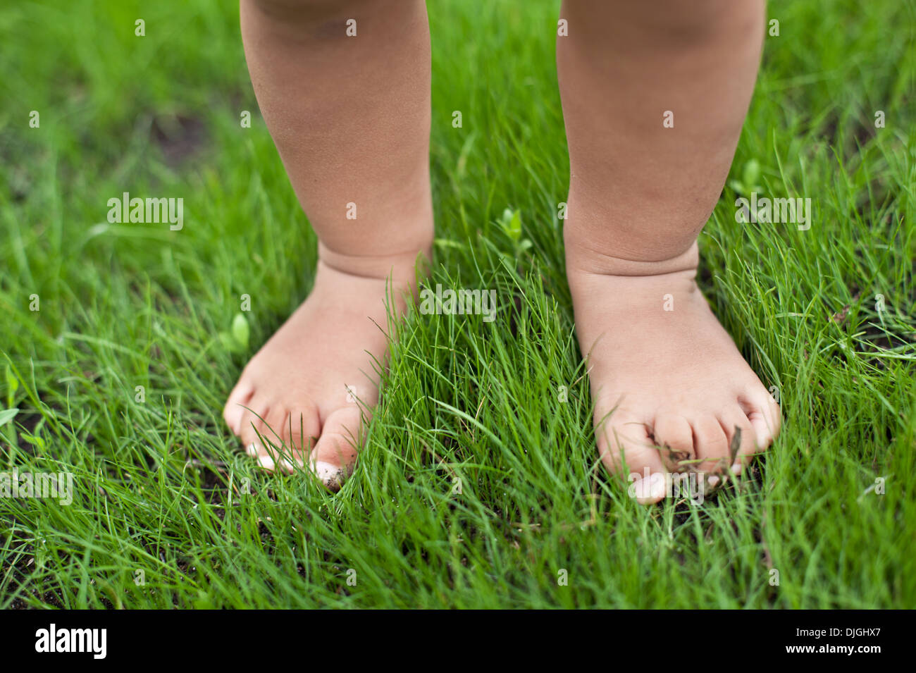 Petit bébé pieds sur l'herbe verte. Banque D'Images