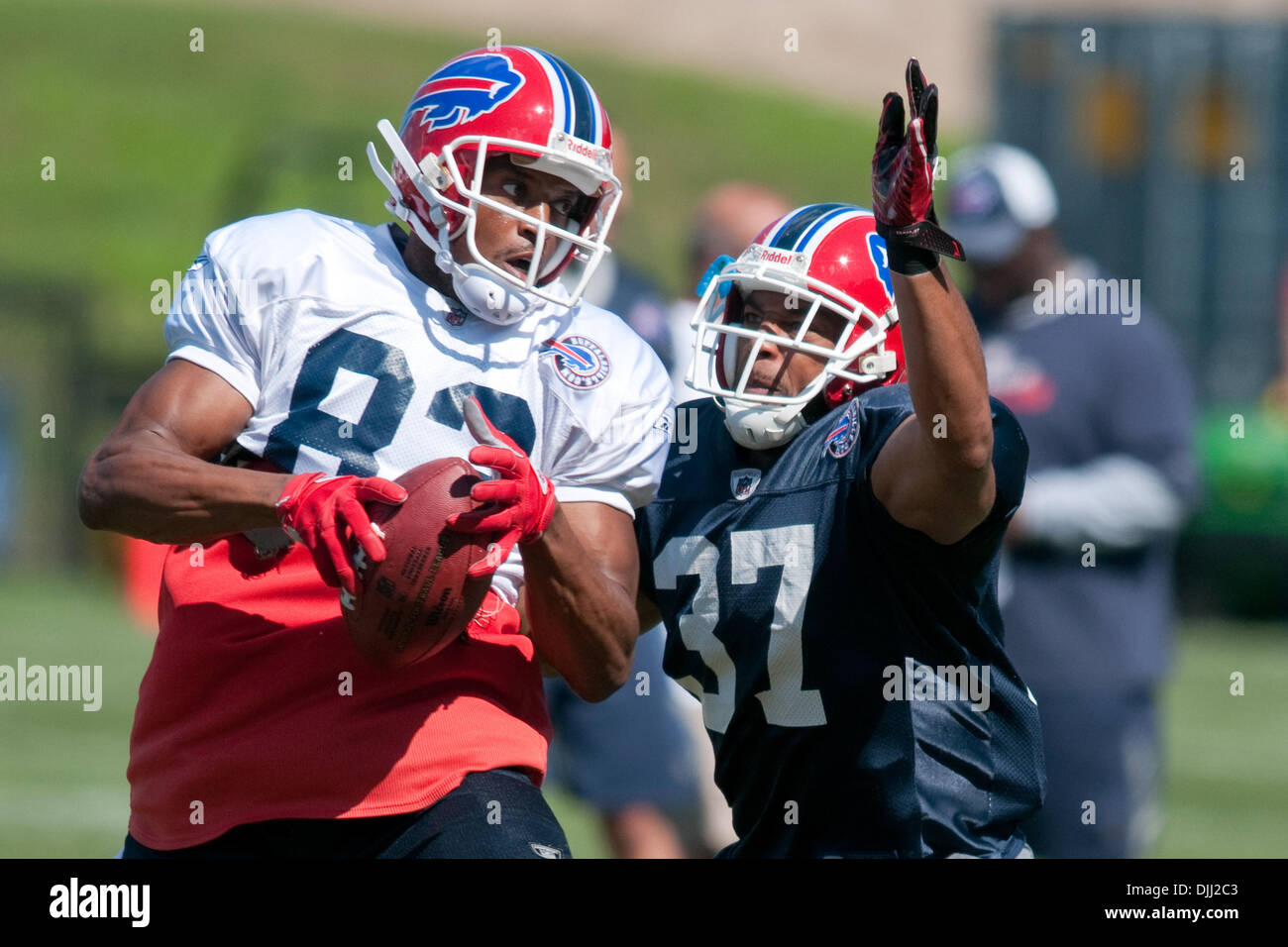 6 août 2010 : Buffalo Bills receveur LEE EVANS (# 83) et arrière défensif GEORGE WILSON (# 37) de la bataille sur une note de jouer au cours de camp d'entraînement à Saint John Fisher College à Pittsford, New York. (Crédit Image : © Mark Konezny/ZUMApress.com) Southcreek/mondial Banque D'Images