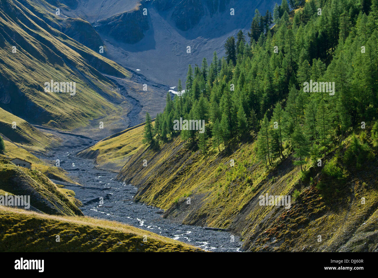 Rivière de la rivière Ova da Trupchun à Val Trupchun, Parc National Suisse à Graubünden / Grisons dans les Alpes, Suisse Banque D'Images