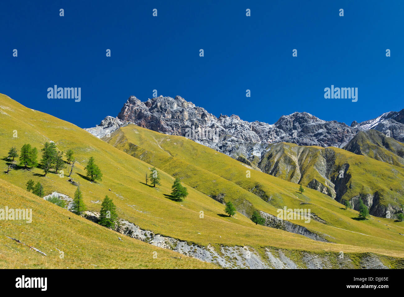 Vue sur la montagne Piz Val Trupchun dans Fier, Parc National Suisse à Graubünden / Grisons dans les Alpes, Suisse Banque D'Images