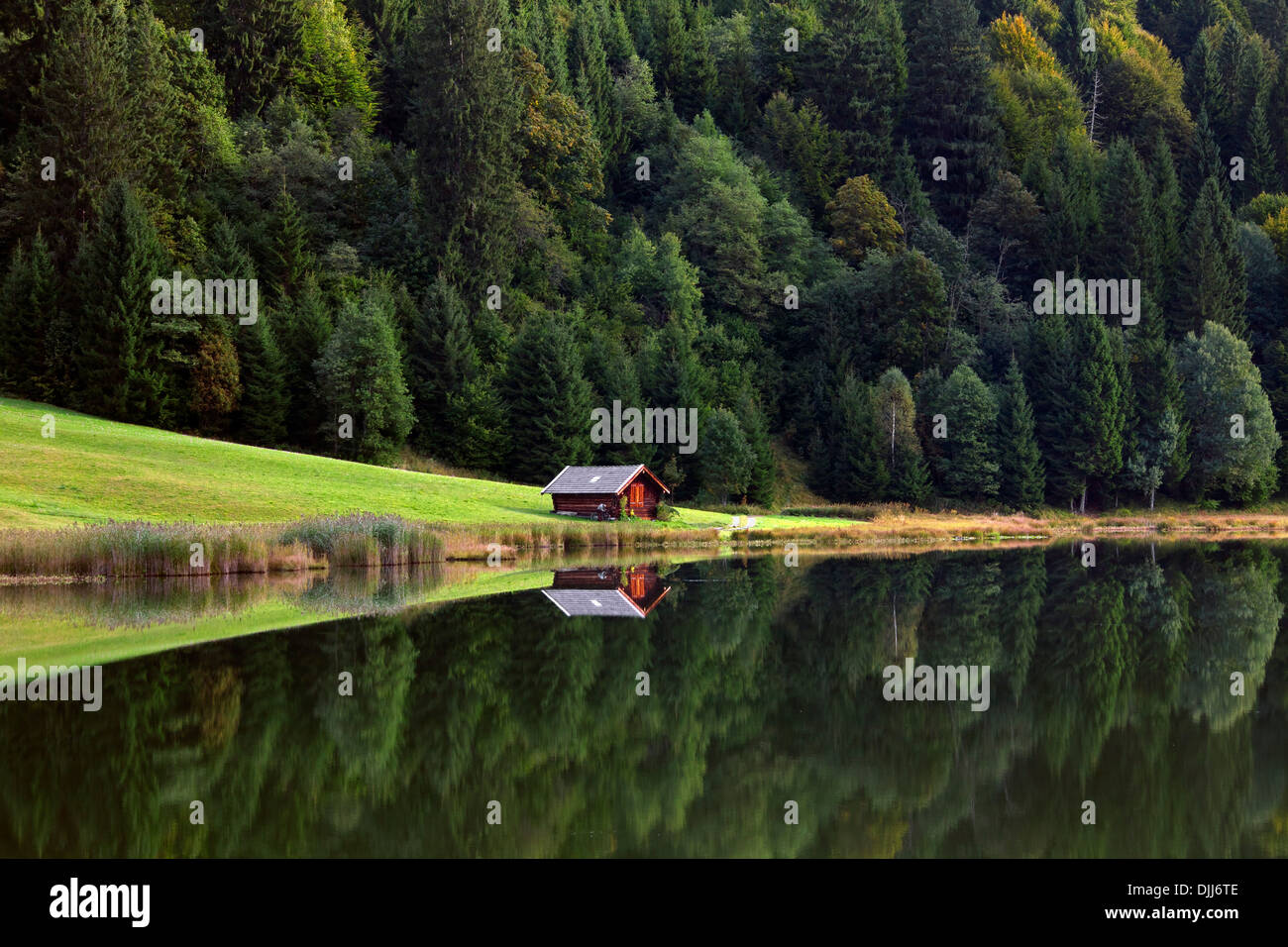 Cabane en bois et forêt de pins de réflexion dans l'eau le long du lac Gerold / Geroldsee près de Mittenwald, Haute-Bavière, Allemagne Banque D'Images