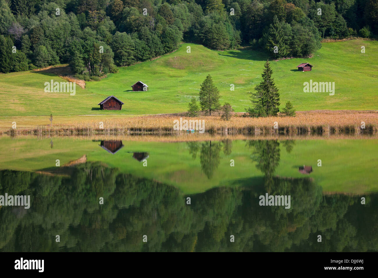 Huttes de bois et de réflexion de l'eau dans la forêt de pins le long du lac Gerold / Geroldsee près de Mittenwald, Haute-Bavière, Allemagne Banque D'Images