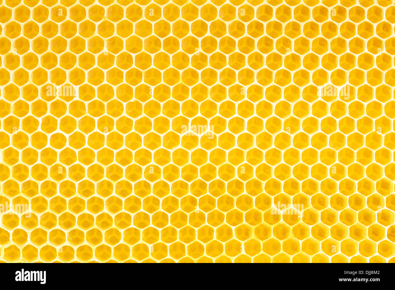 Le miel dans l'arrière-plan d'abeilles Banque D'Images