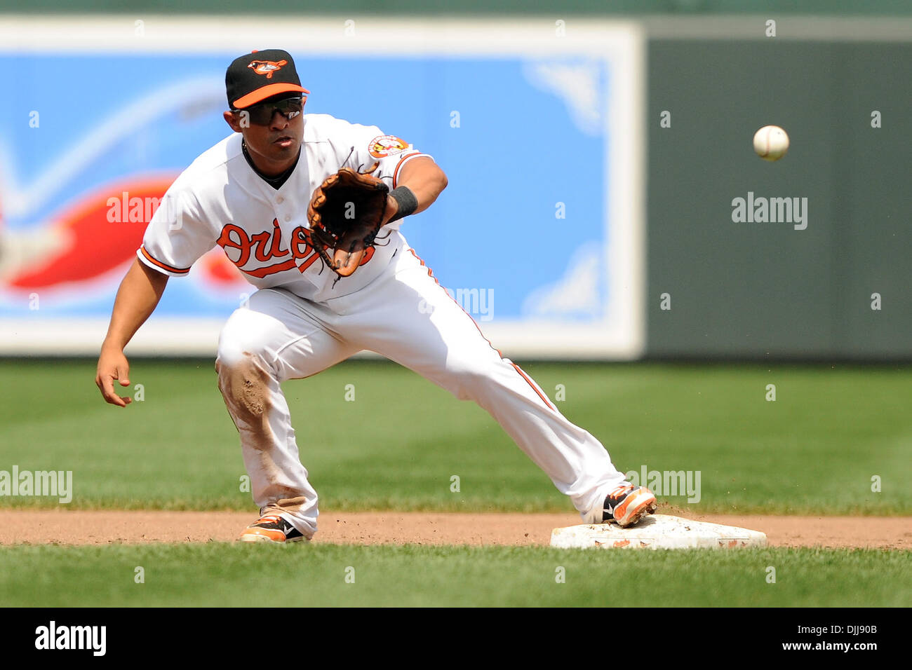 08 août 2010 - Baltimore, Maryland, États-Unis d'Amérique - Août 08, 2010 : l'arrêt-court Des Orioles de Baltimore, Cesar Izturis (3) en action lors de la cinquième manche du match de dimanche après-midi contre les White Sox de Chicago au Camden Yards de Baltimore, MD. Score à égalité 1 à 5 manches...crédit obligatoire : Russell Tracy / Southcreek Global (Image Crédit : Â© Southcreek/ZUMAp mondial Banque D'Images