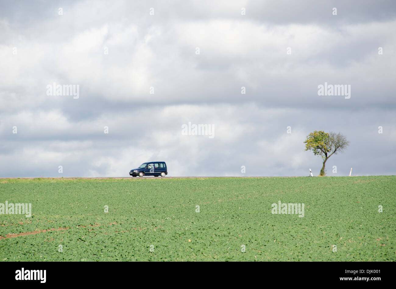 Arbre sur un champ avec road et de voiture en Allemagne Banque D'Images