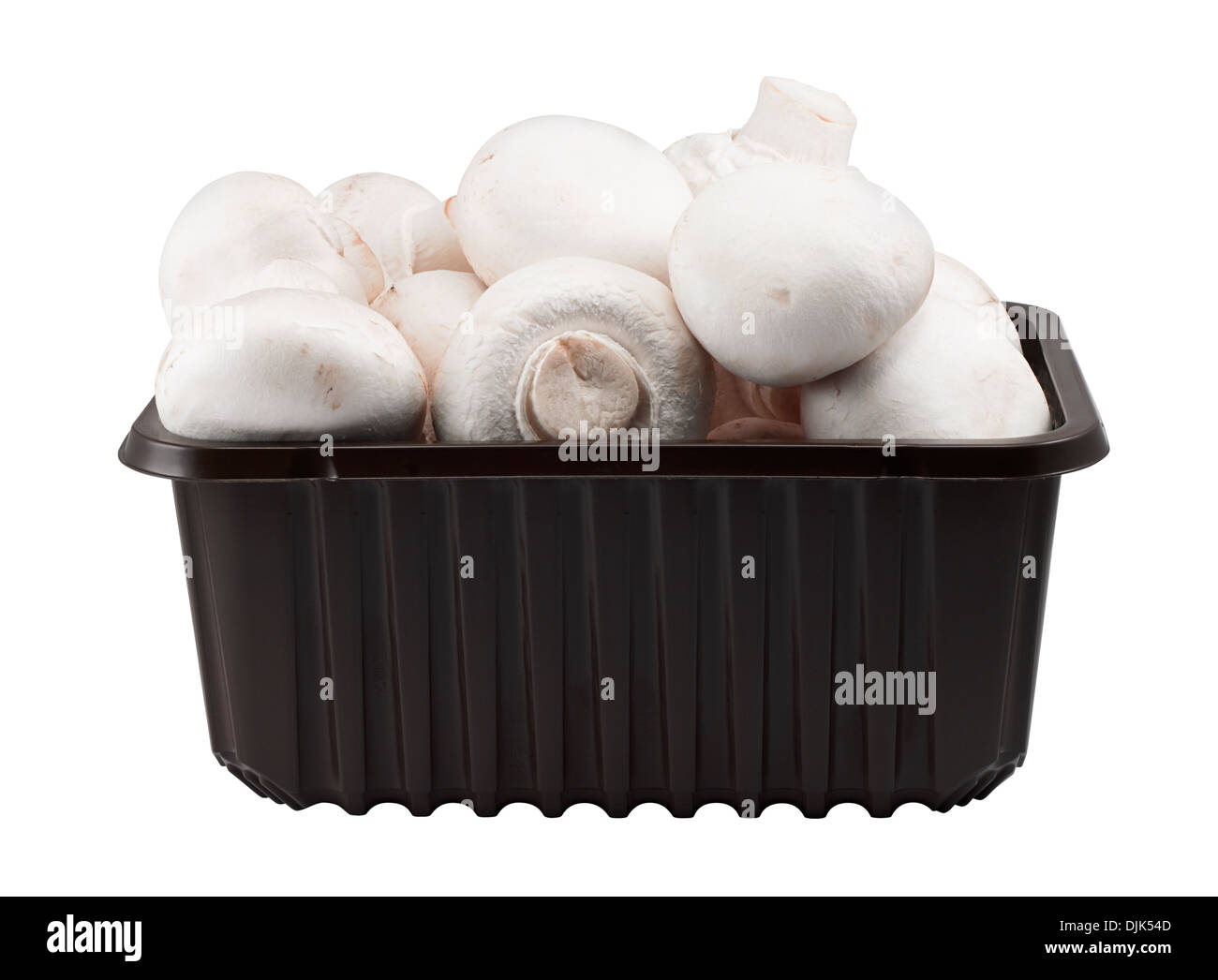 Fort de champignons frais dans un contenant en plastique souvent trouvés dans les supermarchés isolé sur fond blanc Banque D'Images