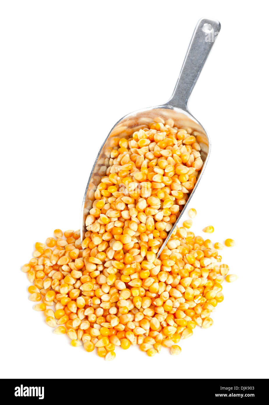 Les grains de maïs séchés en metal scoop sur fond blanc Banque D'Images