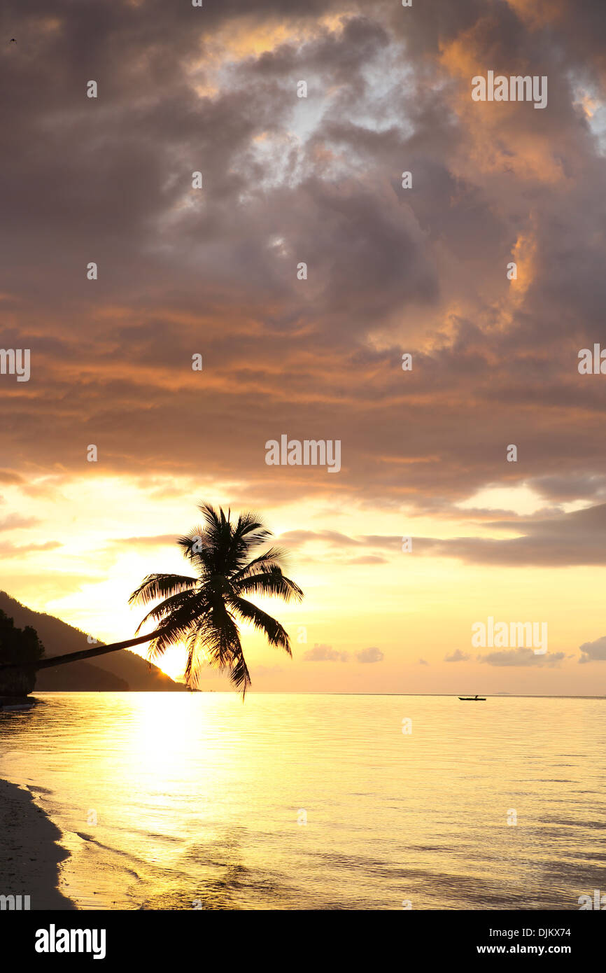 Île tropicale bordée de palmiers plage au coucher du soleil dans les îles Raja Ampat, Papouasie Occidentale Banque D'Images