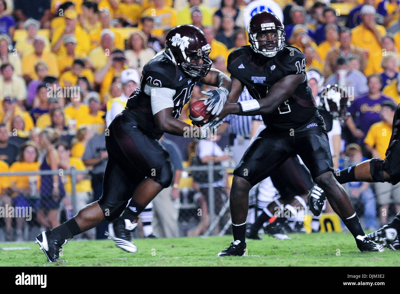 18 septembre 2010 - Baton Rouge, Louisiane, États-Unis d'Amérique - le quart-arrière Chris Relf du Mississippi State Bulldogs hands off à l'exécution retour Adrian Marcus # 43 au Tiger Stadium de Baton Rouge, Louisiane. LSU défait 27-9 de l'État du Mississipi. (Crédit Image : © Stacy Revere/ZUMApress.com) Southcreek/mondial Banque D'Images