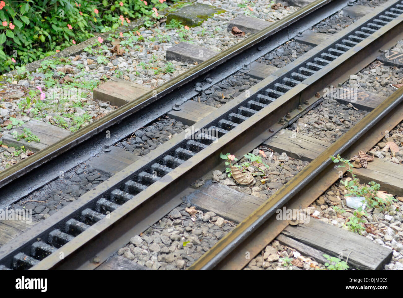 Rio de Janeiro, Brésil : la voie de chemin de fer et rack appartenant à la célèbre 'train de roue dentée Trem do Corcovado". Banque D'Images