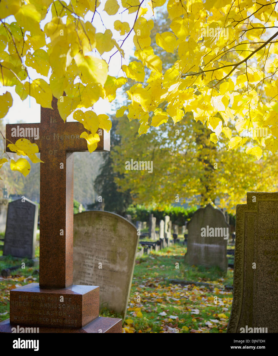 Pierres tombales sur la journée ensoleillée d'automne au cimetière de la ville de London, Londres, Royaume-Uni. Banque D'Images