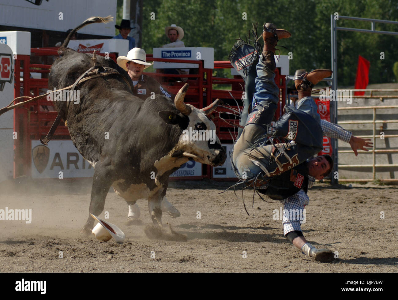 18 mai 2008 - Cloverdale, en Colombie-Britannique, Canada - Cowboy participe à la monte de taureau à la catégorie professionnelle de l'événement annuel Cloverdale Rodeo. Le rodéo a été tenue pour la première fois en 1945 et s'est avéré si populaire qu'il a été repris par l'Association agricole de la vallée du bas Fraser en 1947. En 1962, le salon a été repris par le Fraser Valley Exhibition Society, et en 1994, la juste et rode Banque D'Images