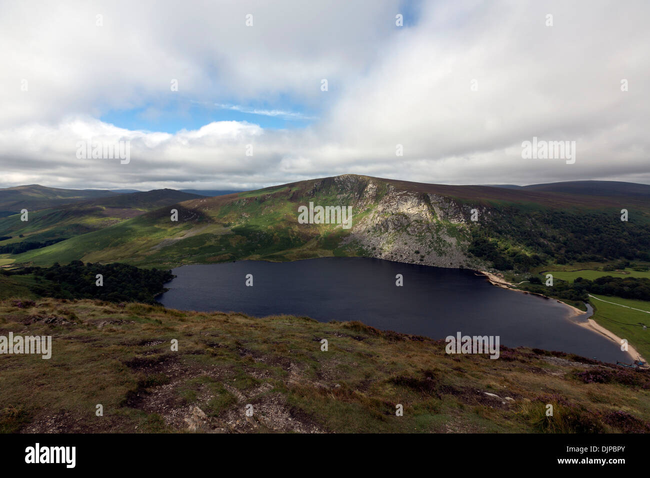 Guinness dans le lac du Parc National des Montagnes de Wicklow, en Irlande. Banque D'Images