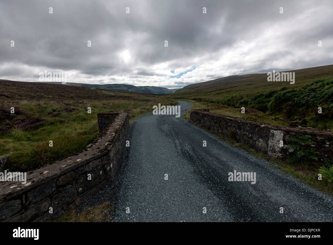 Pont dans le Parc National des Montagnes de Wicklow, en Irlande. Banque D'Images