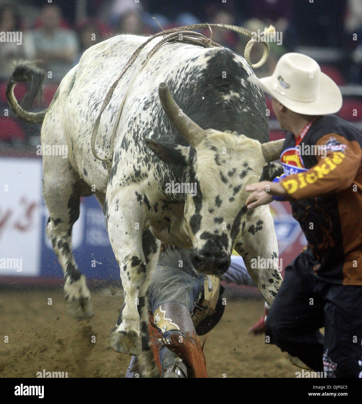 19 mars 2010 - Fresno, Californie, États-Unis - Bull fighter FRANK NEWSOM obtient l'attention de mauvais os après le taureau s'éteint, Caleb Sanderson, lors de la Professional Bull Riders Table Mountain Casino Invitational au Save Mart Center. (Crédit Image : © Darrell Wong/Fresno Bee/ZUMApress.com) Banque D'Images