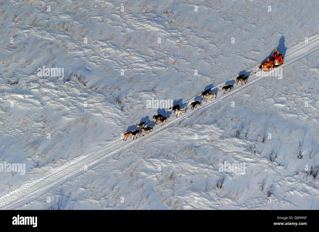 09 mars 2010 - Nikolai, Alaska, USA - MITCH SEAVEY chefs sur le sentier de Nikolai à McGrath le mardi lors de l'Iditarod Trail Sled Dog Race 2010 en Alaska. (Crédit Image : © Bob Hallinen/Anchorage Daily News/ZUMA Press) Banque D'Images