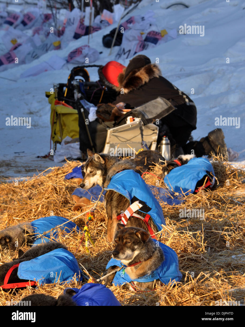 Mar 12, 2010 - Takontna, Alaska, USA - Anchorage rookie musher EMIL CHURCHIN Takontna se prépare à quitter le vendredi matin au cours de l'Iditarod Sled Dog Race 2010. (Crédit Image : © Bob Hallinen/Anchorage Daily News/ZUMA Press) Banque D'Images