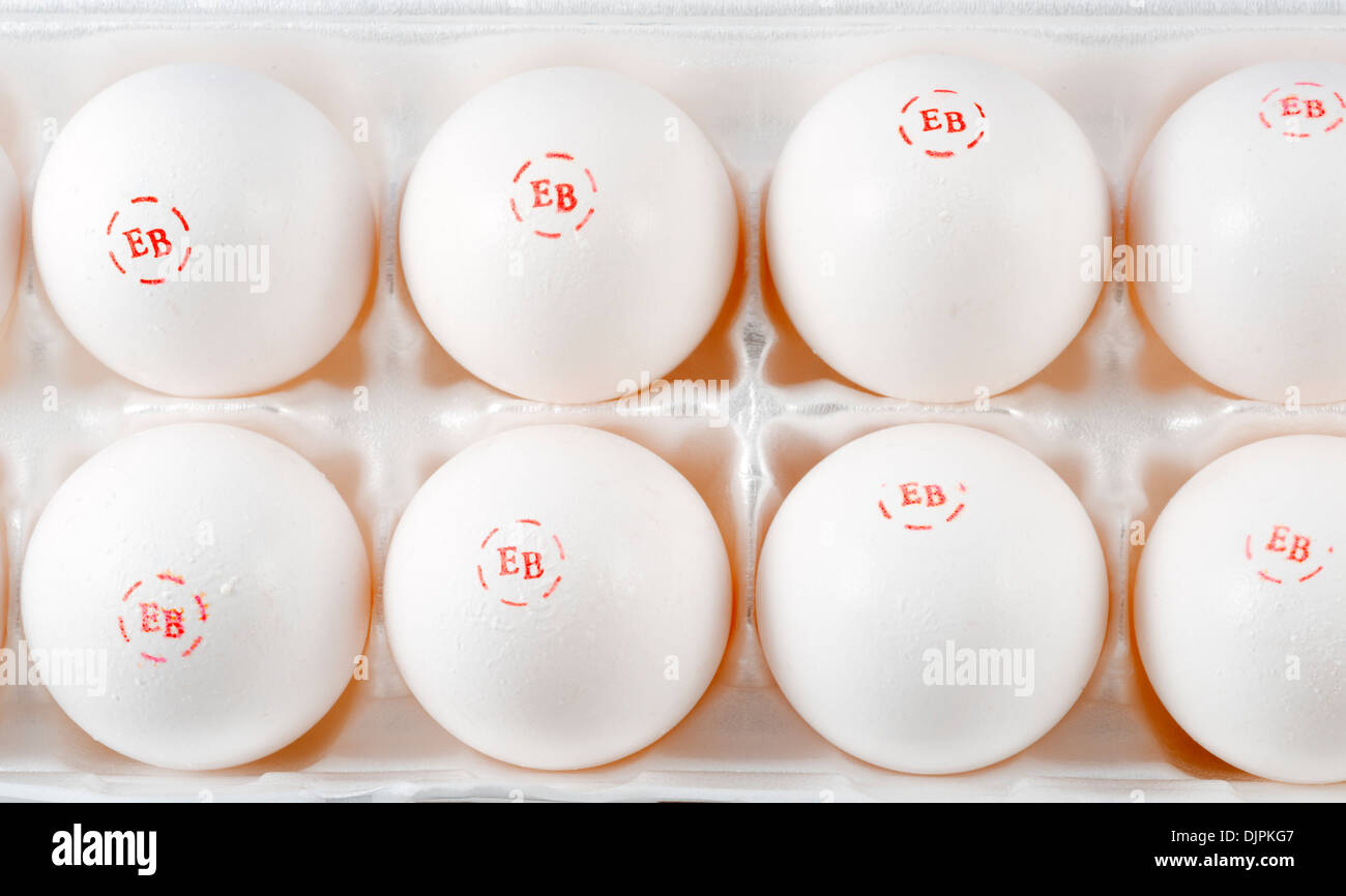 Close up d'oeufs d'une boîte d'une douzaine d'Egg-Land Meilleurs Œufs Extra Large, USA Banque D'Images