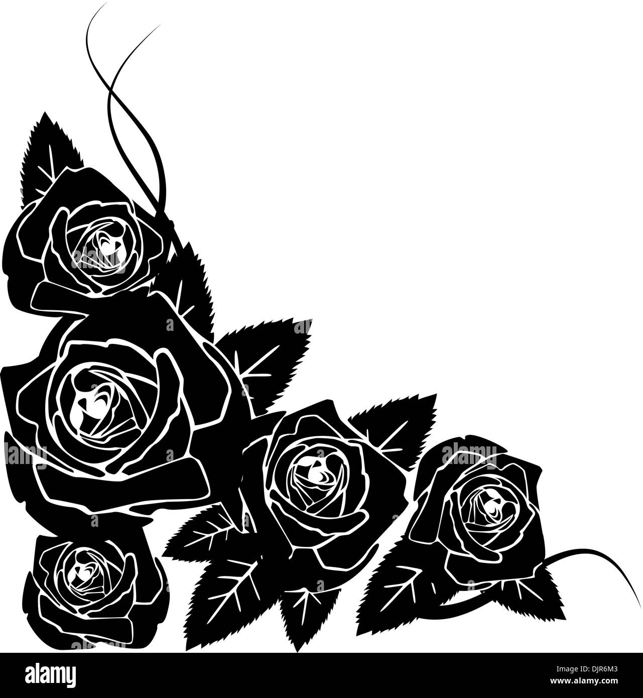 Fait à partir de l'arrière-plan des roses noires Illustration de Vecteur