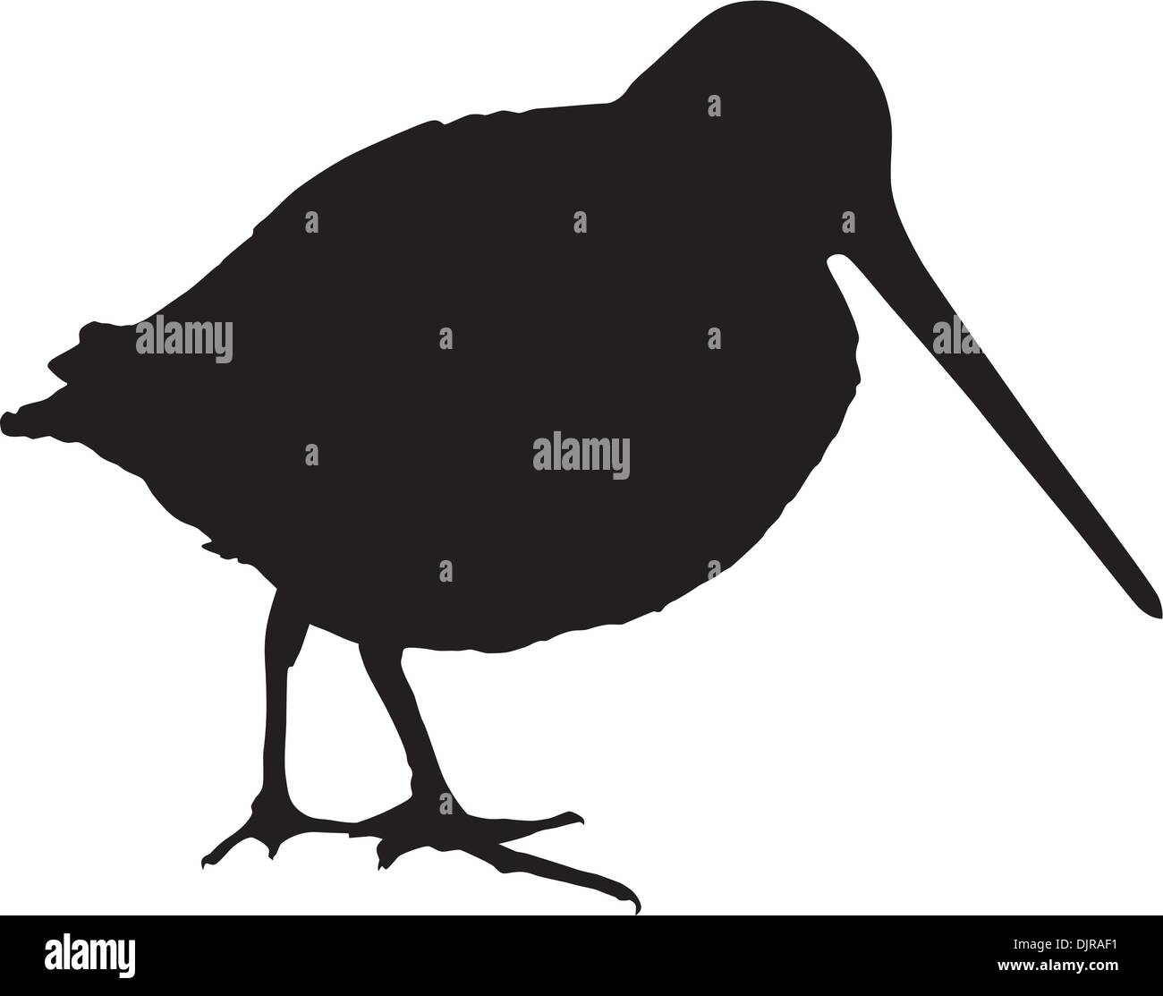 Silhouette d'un snipe Illustration de Vecteur